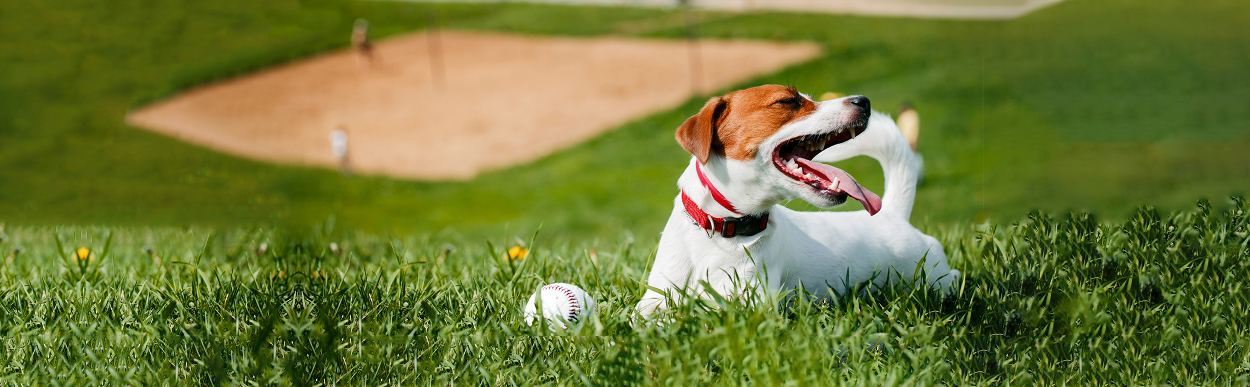 Home Quantum Credit Union Home Quantum Credit Union